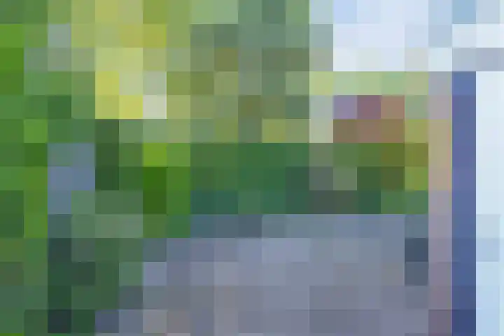 Korenbloemstraat 6 Hengelo thumbnail 31