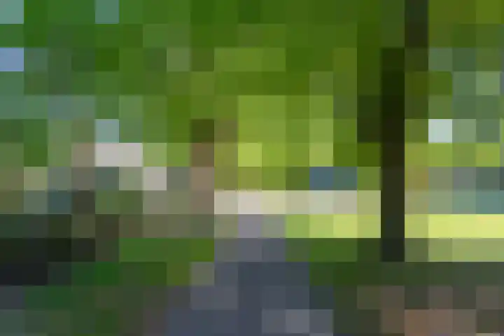 Korenbloemstraat 6 Hengelo thumbnail 34