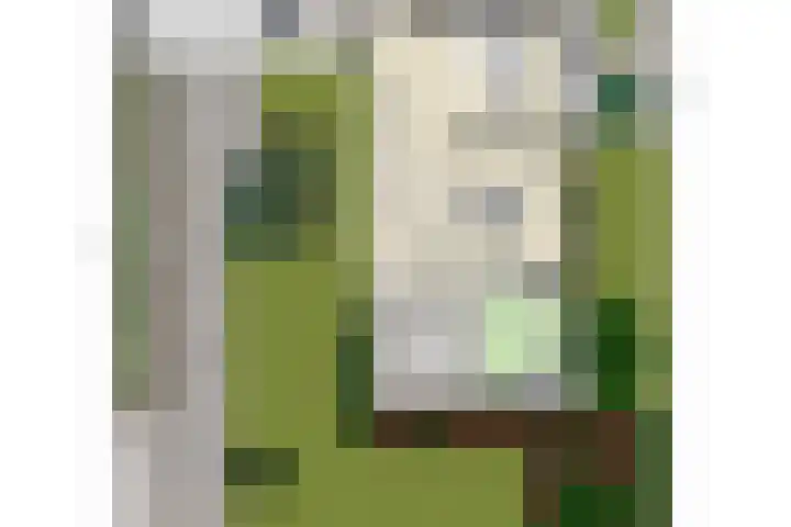 Korenbloemstraat 6 Hengelo thumbnail 38