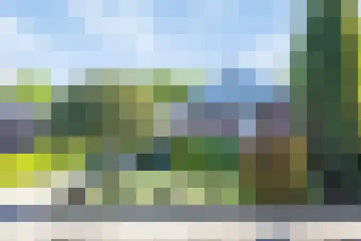 Korenbloemstraat 6 Hengelo thumbnail 6