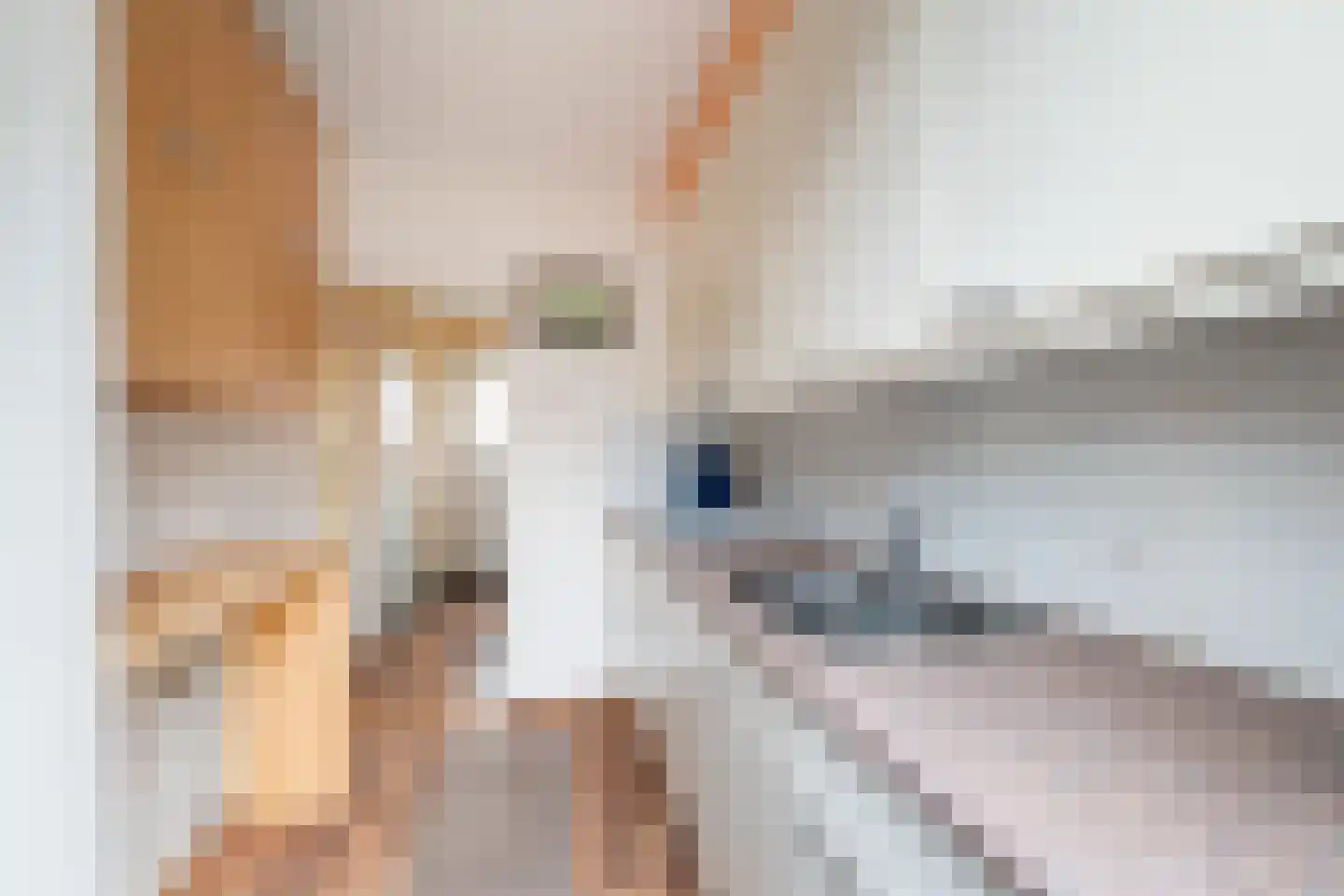 Korenbloemstraat 6 Woerden thumbnail 14