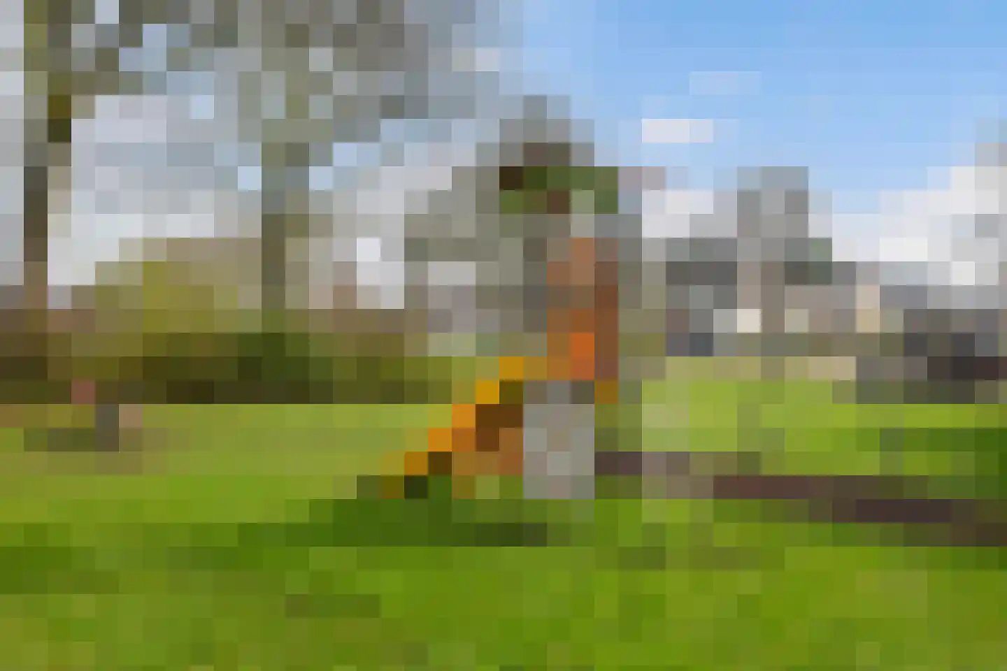 Korenbloemstraat 6 Woerden thumbnail 39