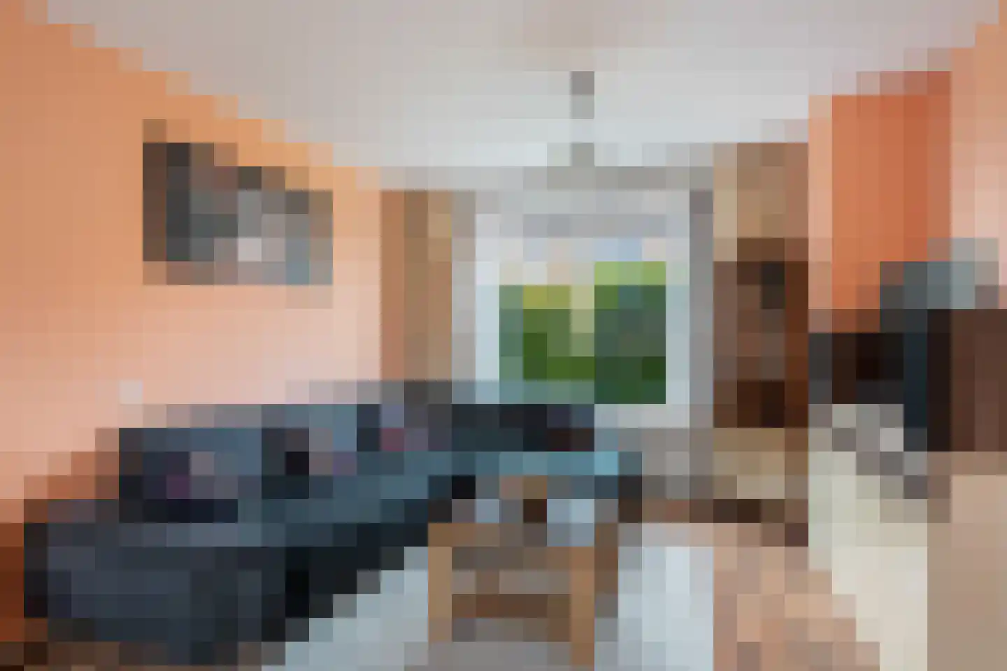 Korenbloemstraat 6 Woerden thumbnail 9