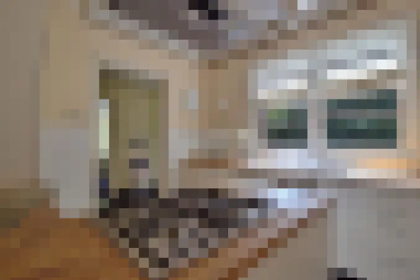 Korenbloemstraat 60 Tilburg thumbnail 11