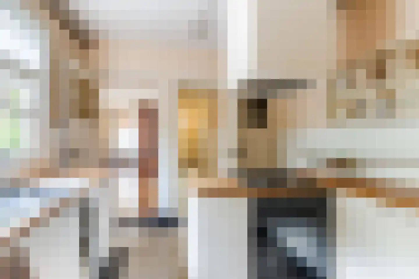 Korenbloemstraat 60 Tilburg thumbnail 12