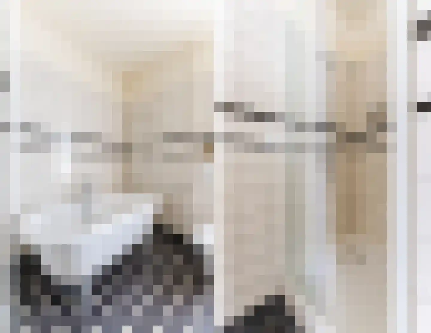Korenbloemstraat 60 Tilburg thumbnail 31