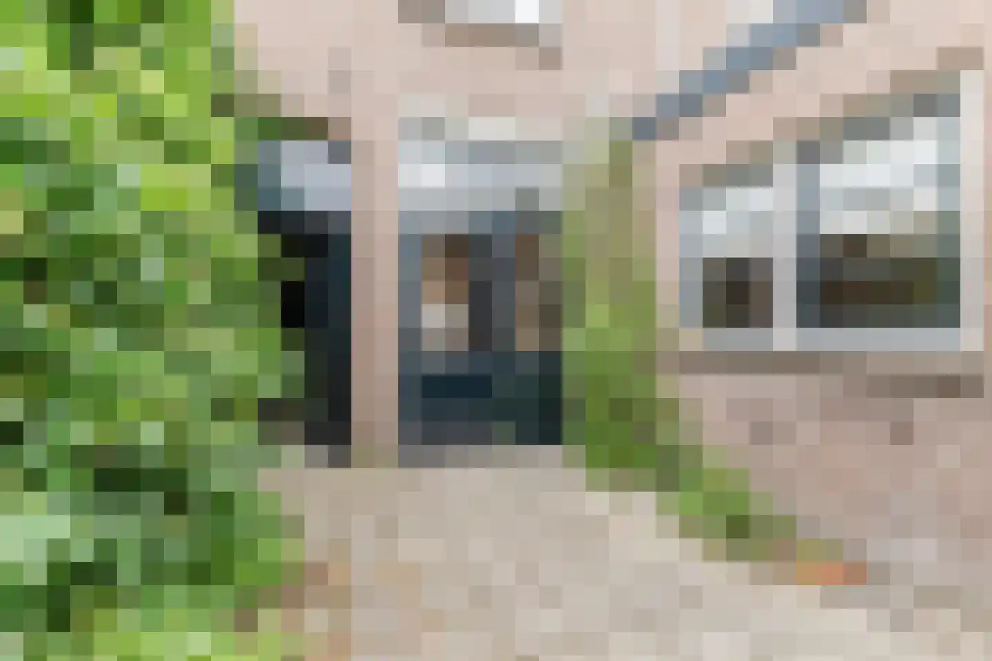 Korenbloemstraat 60 Tilburg thumbnail 36