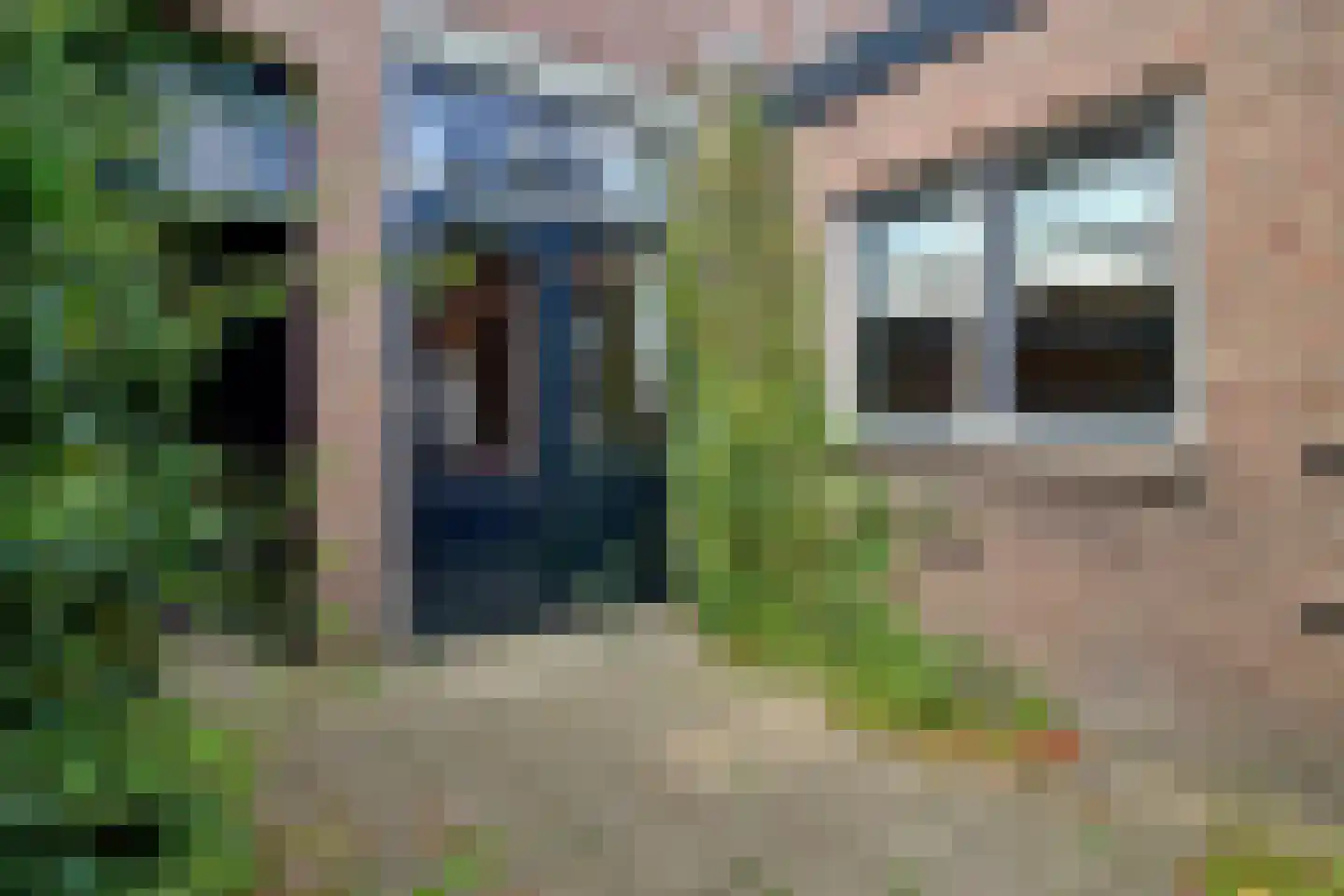 Korenbloemstraat 60 Tilburg thumbnail 39