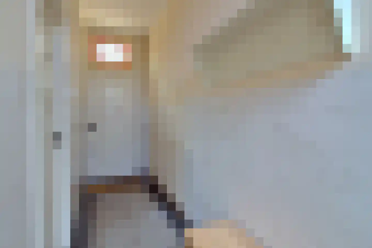 Korenbloemstraat 60 Tilburg thumbnail 9