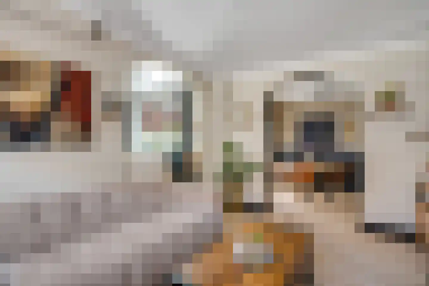 Korenbloemstraat 61 Zwolle thumbnail 13