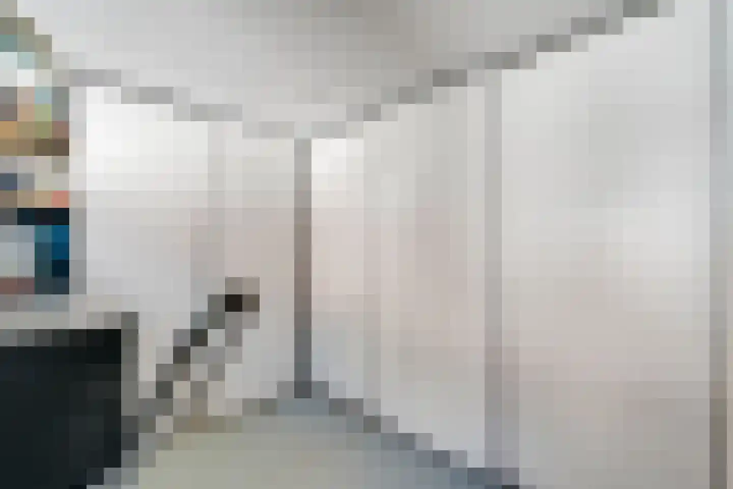 Korenbloemstraat 61 Zwolle thumbnail 30