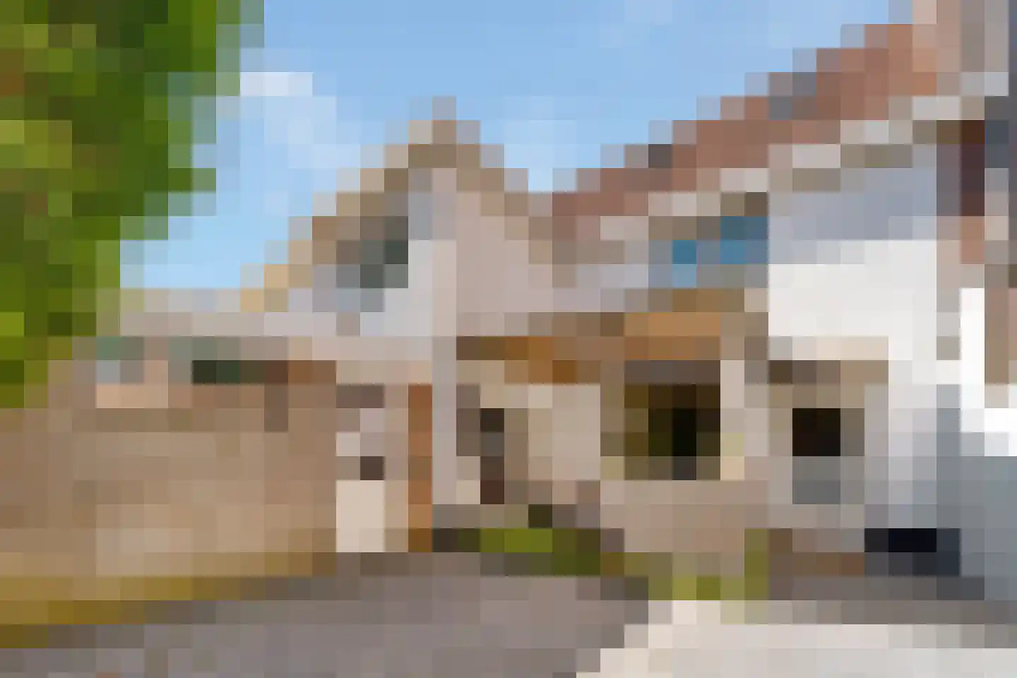 Korenbloemstraat 61 Zwolle thumbnail 32