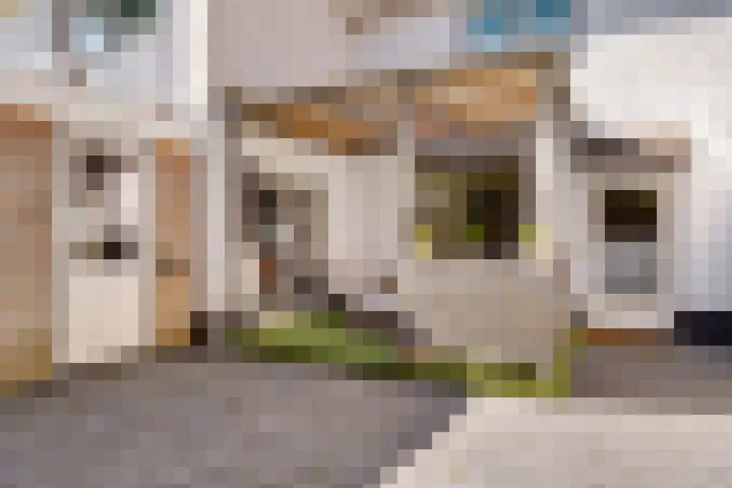 Korenbloemstraat 61 Zwolle thumbnail 33