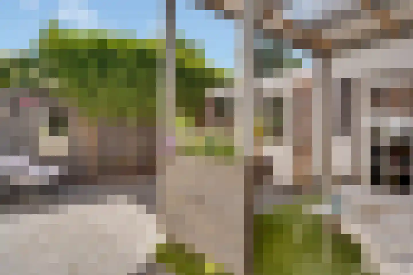 Korenbloemstraat 61 Zwolle thumbnail 34