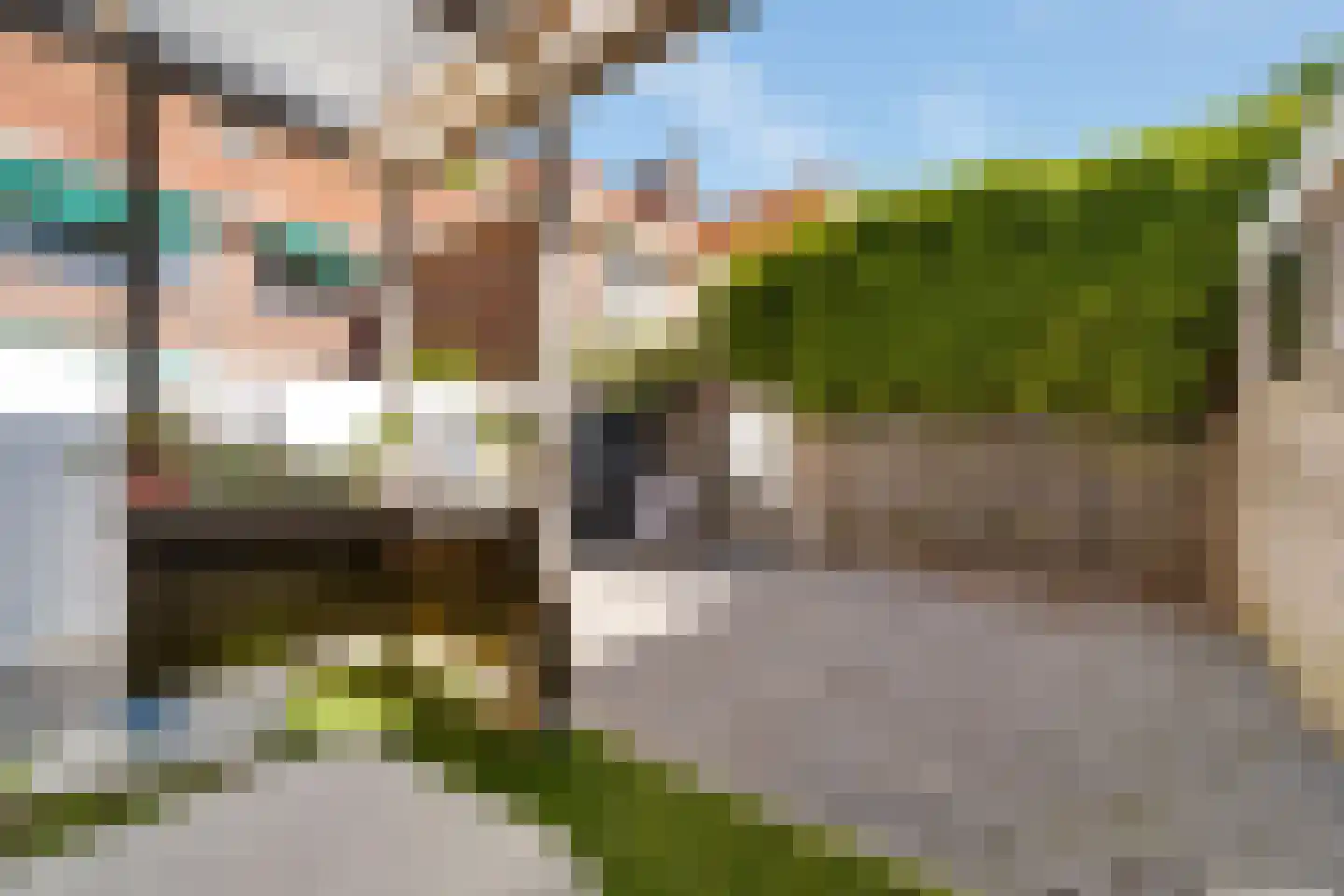 Korenbloemstraat 61 Zwolle thumbnail 35