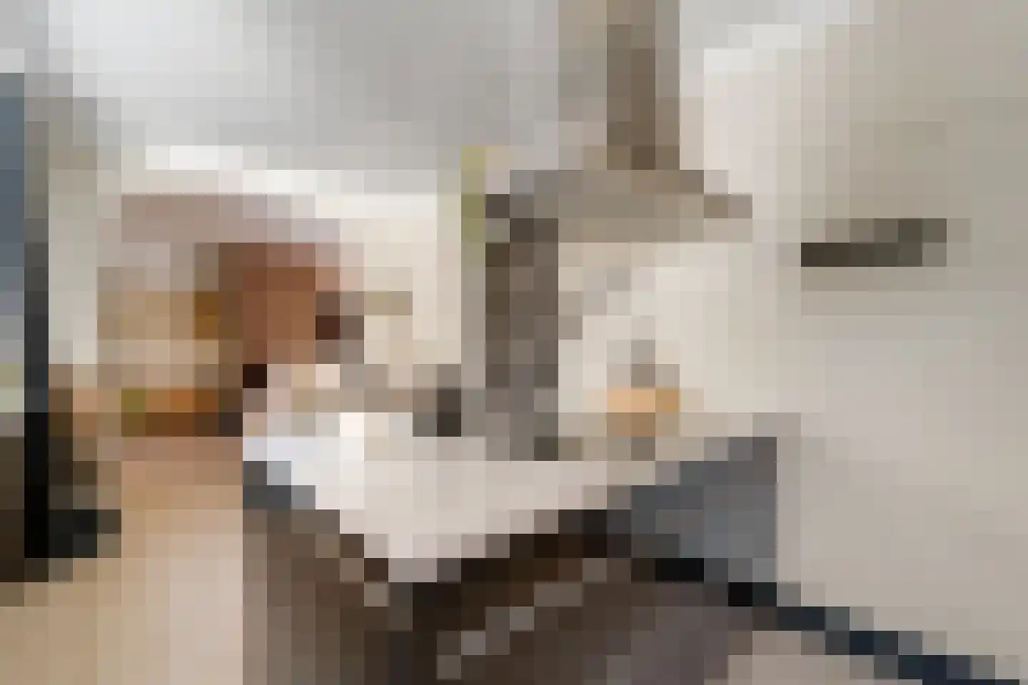 Korenbloemstraat 61 Zwolle thumbnail 6