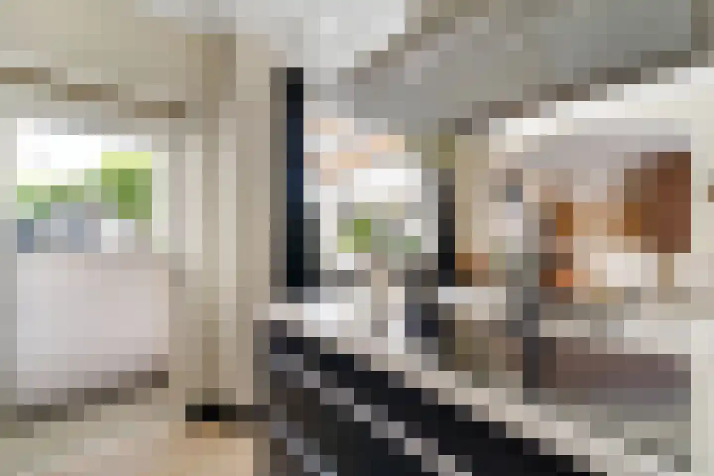 Korenbloemstraat 61 Zwolle thumbnail 7