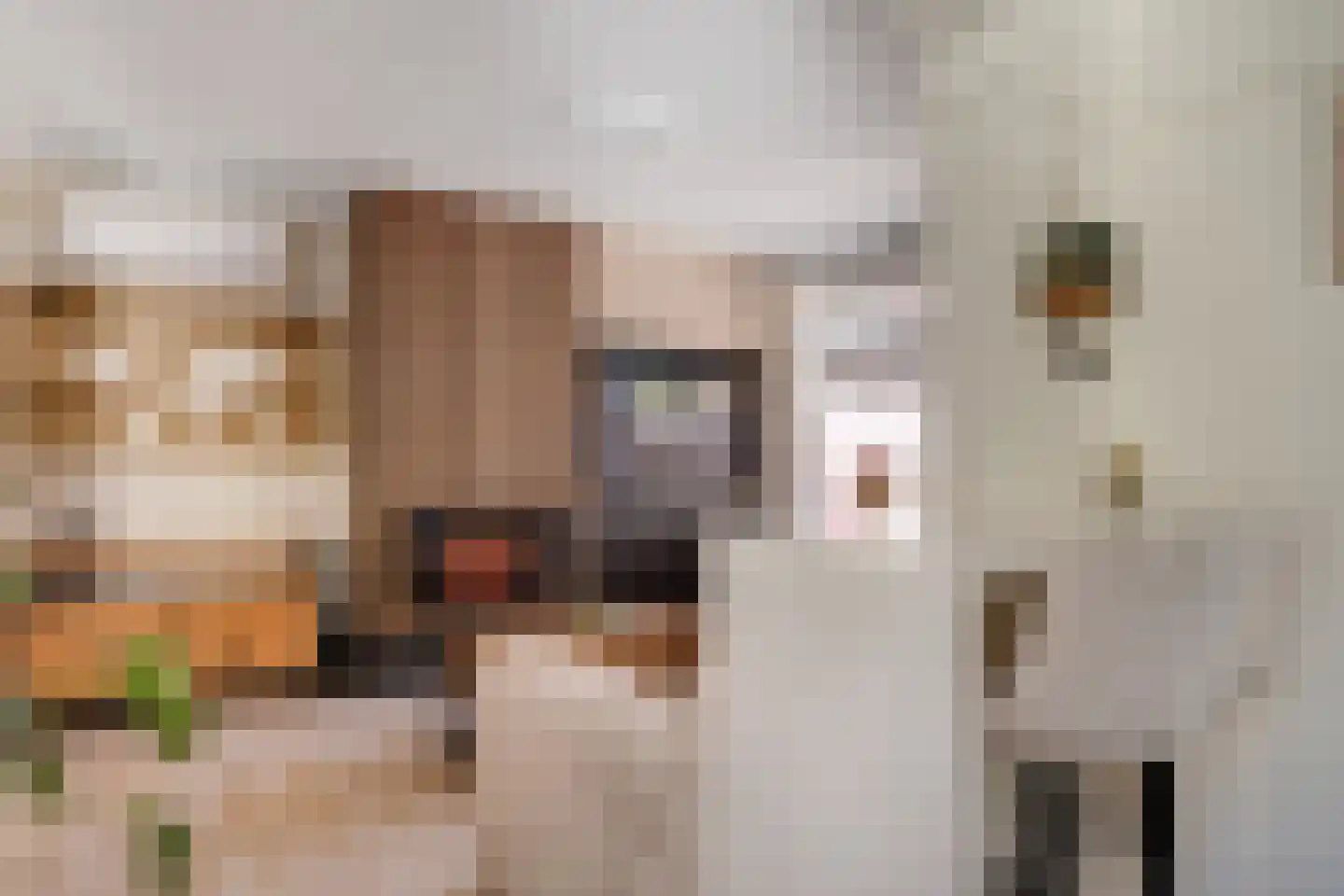 Korenbloemstraat 61 Zwolle thumbnail 9