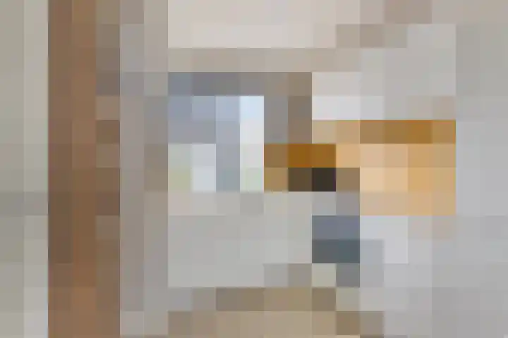 Korenbloemstraat 66 Hoogblokland thumbnail 8