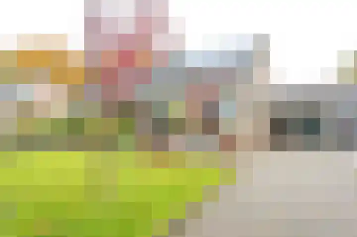 Korenbloemstraat 7 in Odoorn