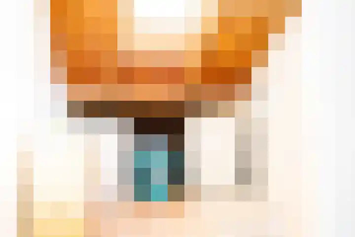 Korenbloemstraat 7 Krimpen aan de Lek thumbnail 18