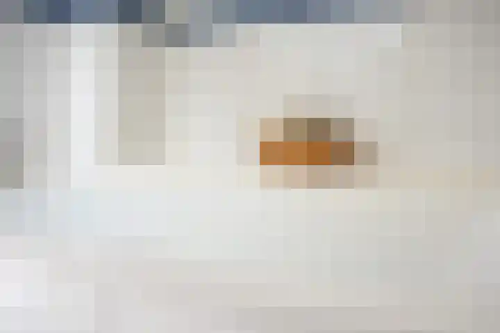 Korenbloemstraat 7 Krimpen aan de Lek thumbnail 21