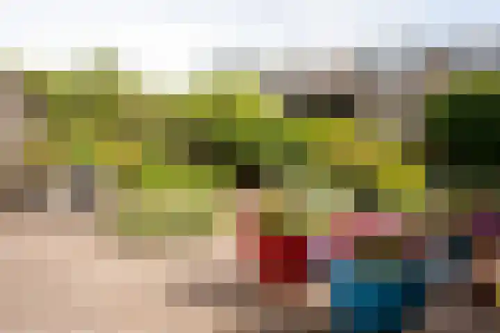 Korenbloemstraat 7 Krimpen aan de Lek thumbnail 25