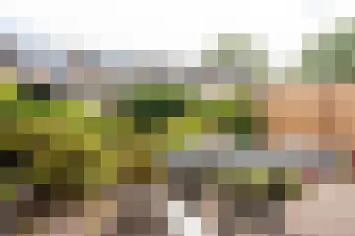 Korenbloemstraat 7 Krimpen aan de Lek thumbnail 28