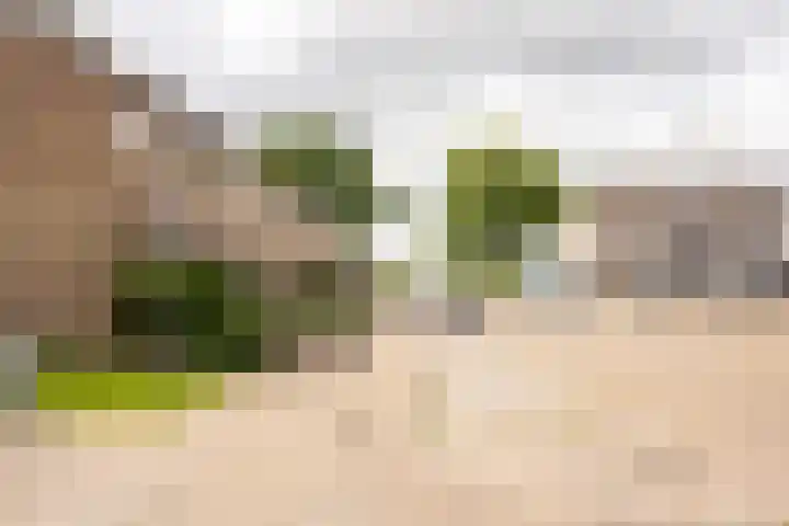 Korenbloemstraat 7 Krimpen aan de Lek thumbnail 32