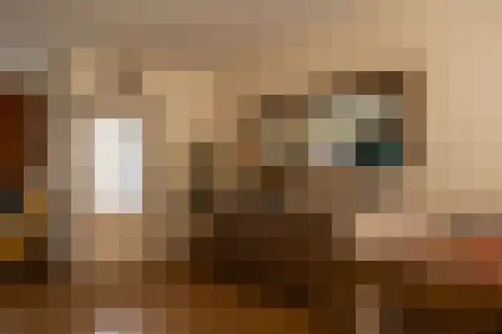Korenbloemstraat 7 Krimpen aan de Lek thumbnail 5
