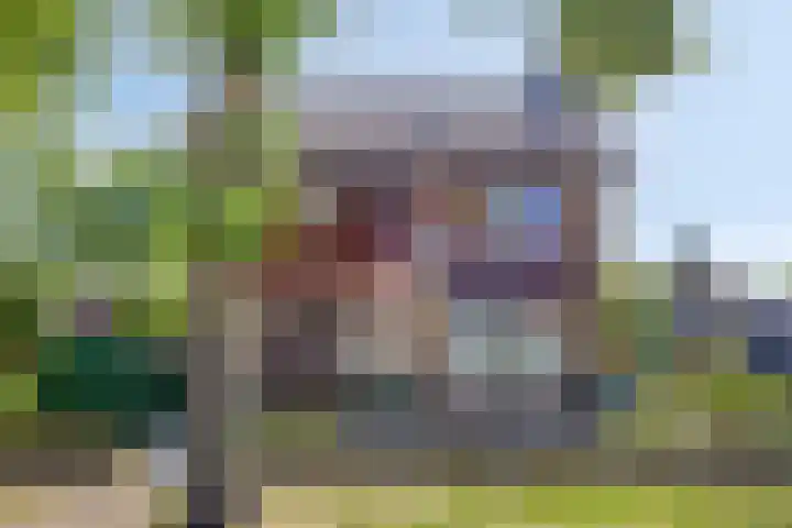 Korenbloemstraat 7 Odiliapeel thumbnail 34