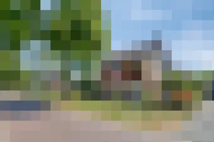 Korenbloemstraat 7 Odiliapeel thumbnail 36
