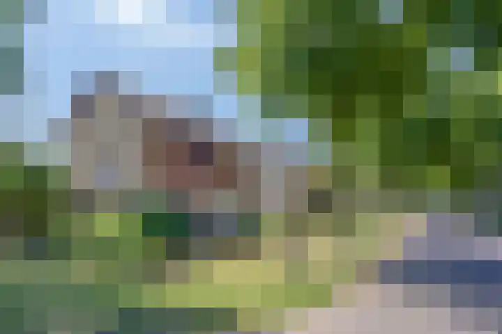 Korenbloemstraat 7 Odiliapeel thumbnail 37