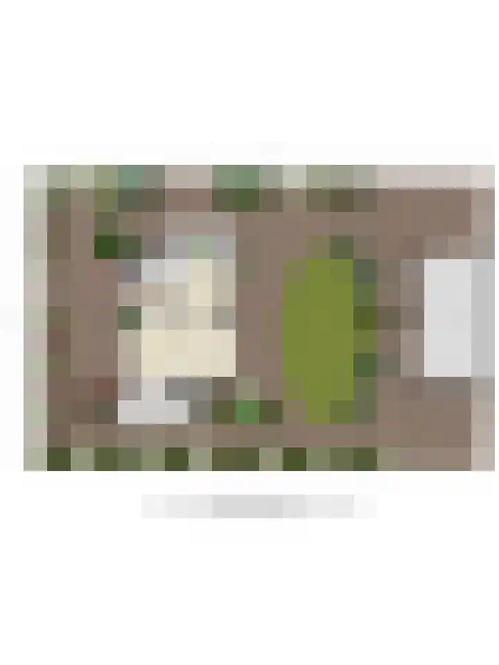 Korenbloemstraat 7 Odiliapeel thumbnail 38