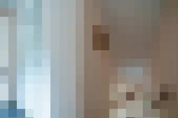 Korenbloemstraat 7 Odoorn thumbnail 39
