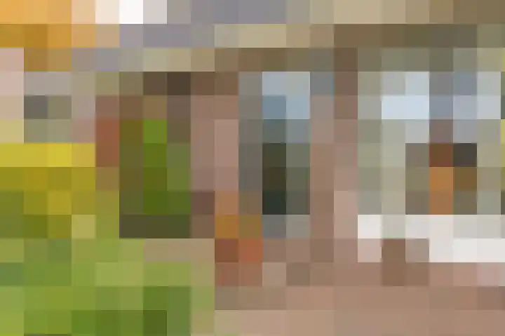 Korenbloemstraat 7 Odoorn thumbnail 6