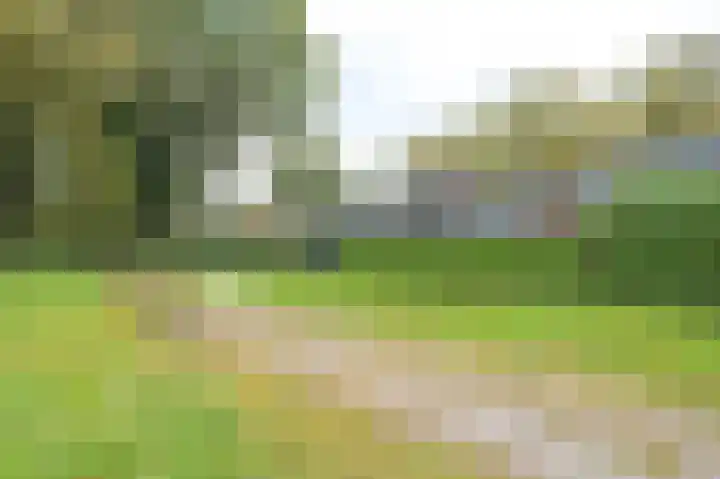 Korenbloemstraat 7 Odoorn thumbnail 63
