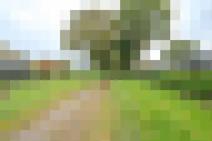 Korenbloemstraat 7 Odoorn thumbnail 64