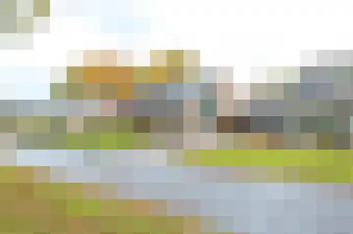 Korenbloemstraat 7 Odoorn thumbnail 69