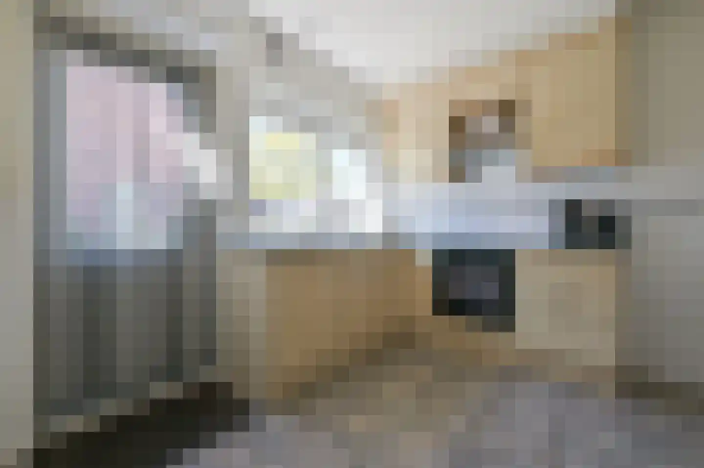 Korenbloemstraat 7 Putten thumbnail 13
