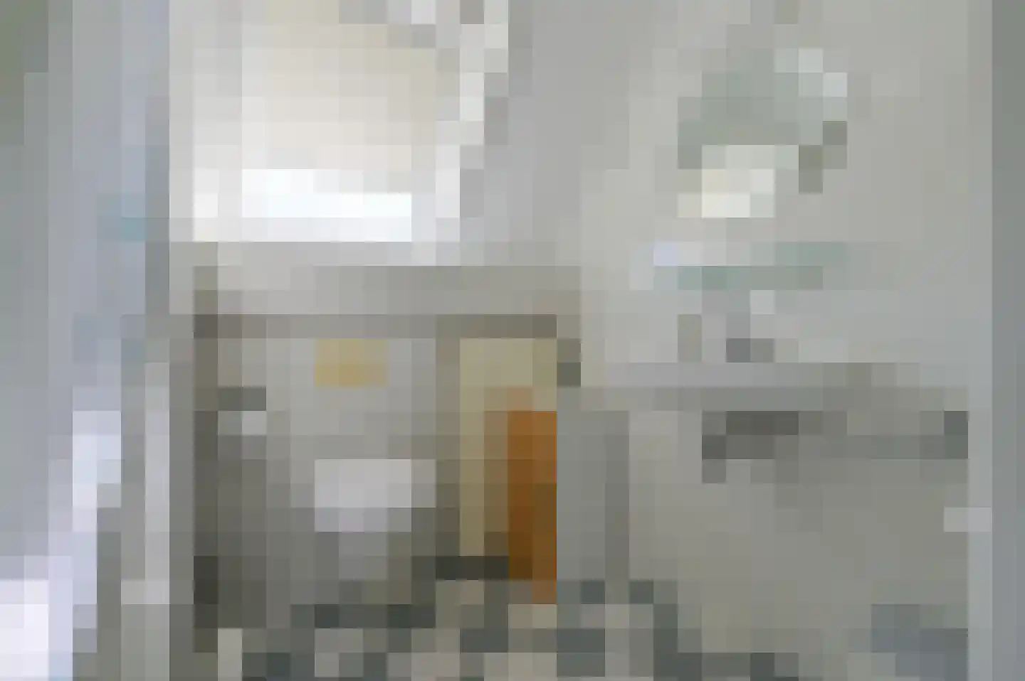 Korenbloemstraat 7 Putten thumbnail 27