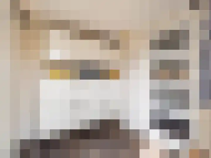 Korenbloemstraat 7 Steenderen thumbnail 10
