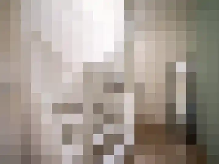 Korenbloemstraat 7 Steenderen thumbnail 13