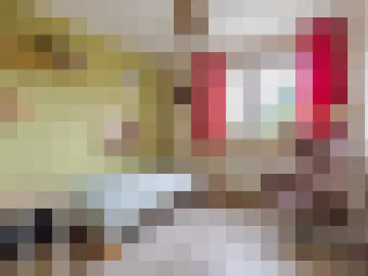 Korenbloemstraat 7 Steenderen thumbnail 15