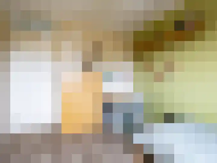 Korenbloemstraat 7 Steenderen thumbnail 16