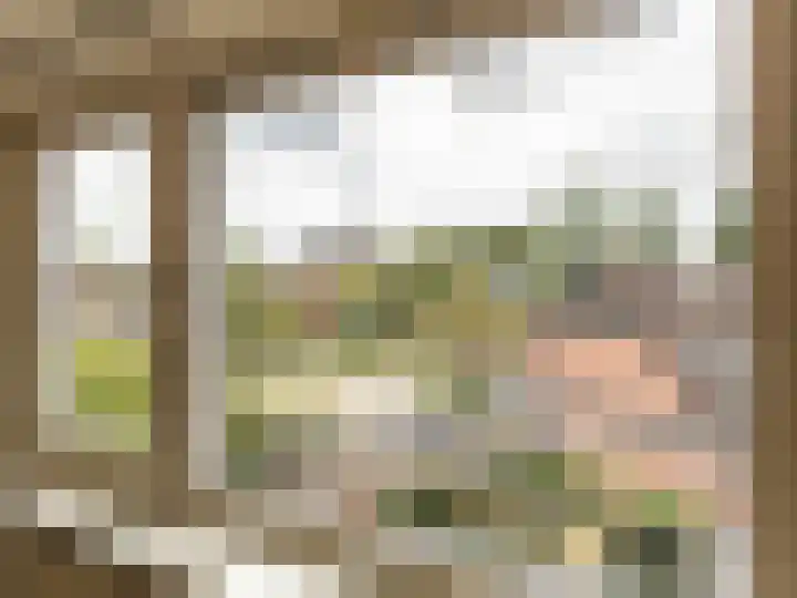Korenbloemstraat 7 Steenderen thumbnail 23