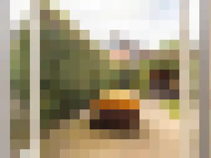 Korenbloemstraat 7 Steenderen thumbnail 24
