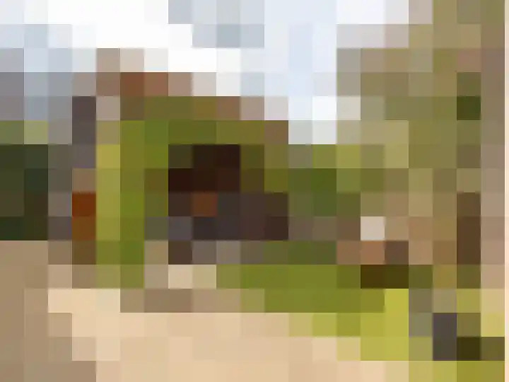 Korenbloemstraat 7 Steenderen thumbnail 25