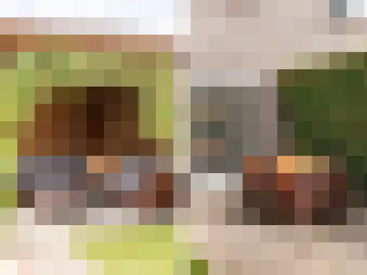 Korenbloemstraat 7 Steenderen thumbnail 26