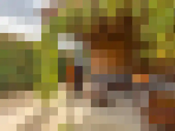 Korenbloemstraat 7 Steenderen thumbnail 27